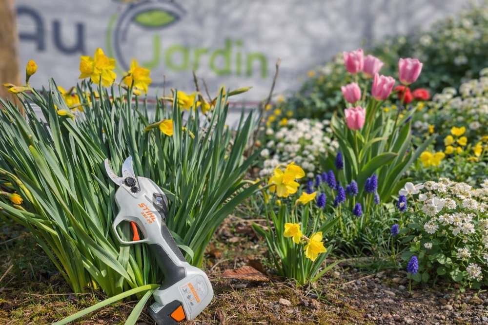 Quand et comment entretenir son jardin tout au long de l’année ?
